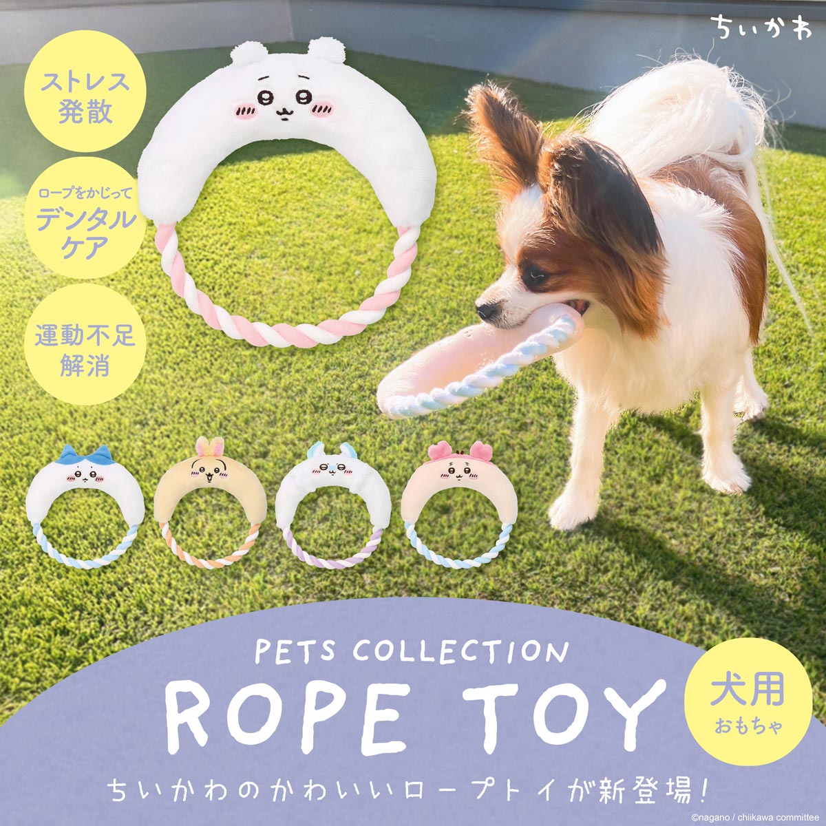 Chiikawa Rope Toy (Chiikawa)