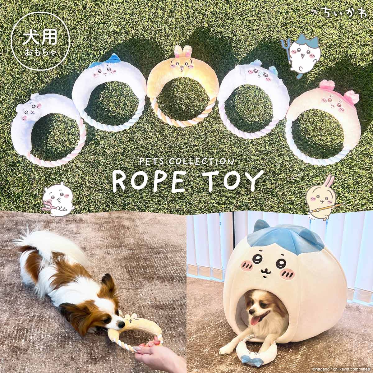 Chiikawa Rope Toy (Chiikawa)