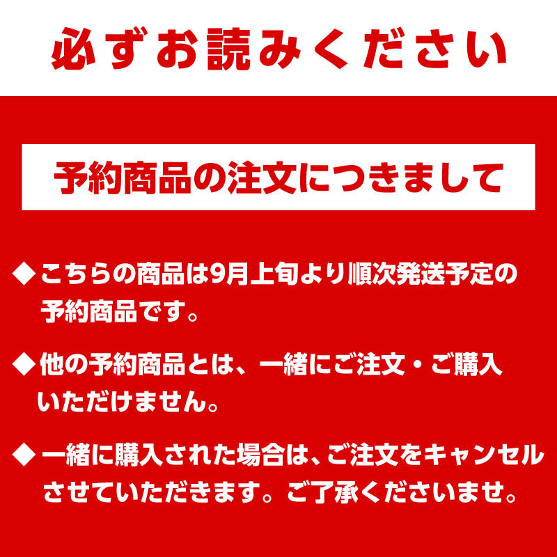 【予約終了】ちいかわ YAKPAK コラボ オープンワイドデイパック(星型カンバッジ付き)【9月上旬より順次発送予定】【クレジットカード決済のみ可】【通常商品と同時購入・配送希望日指定不可】【キャンペーン対象外】