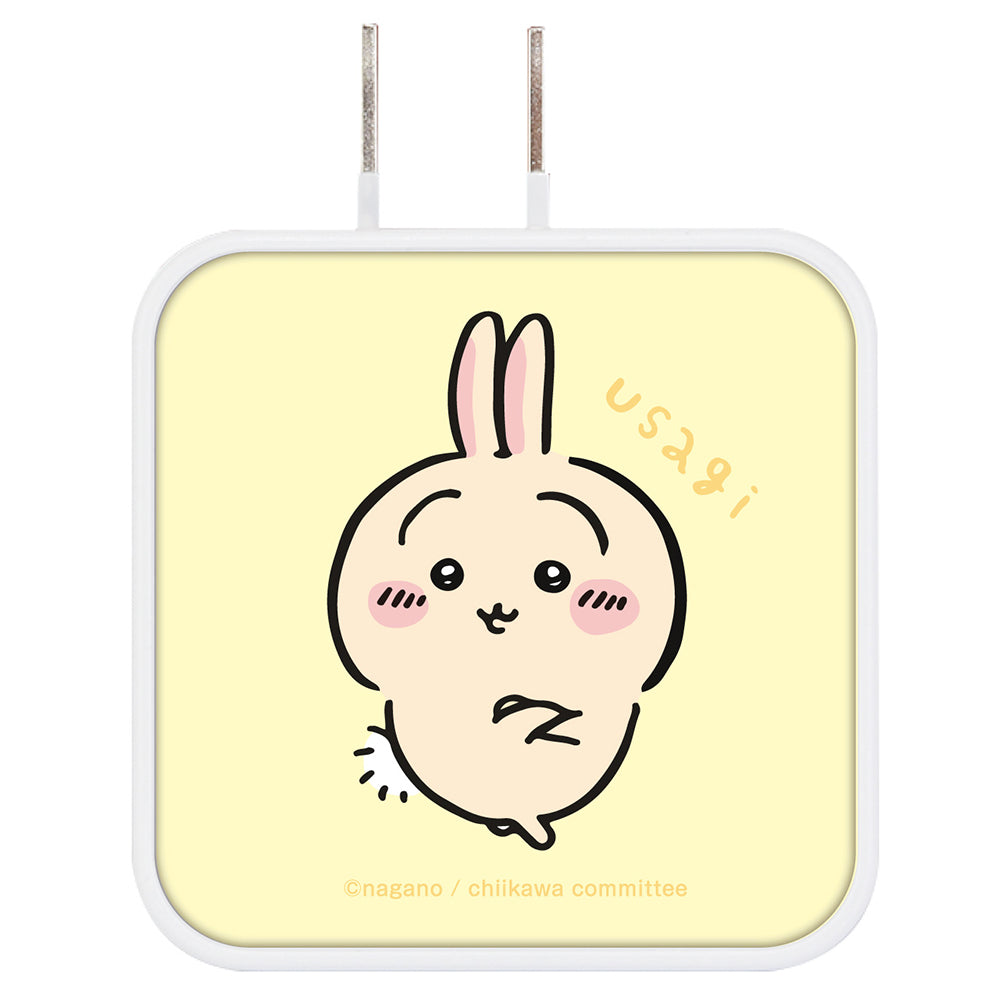 치이카와 USB/USB Type-C AC 어댑터 (우사기)