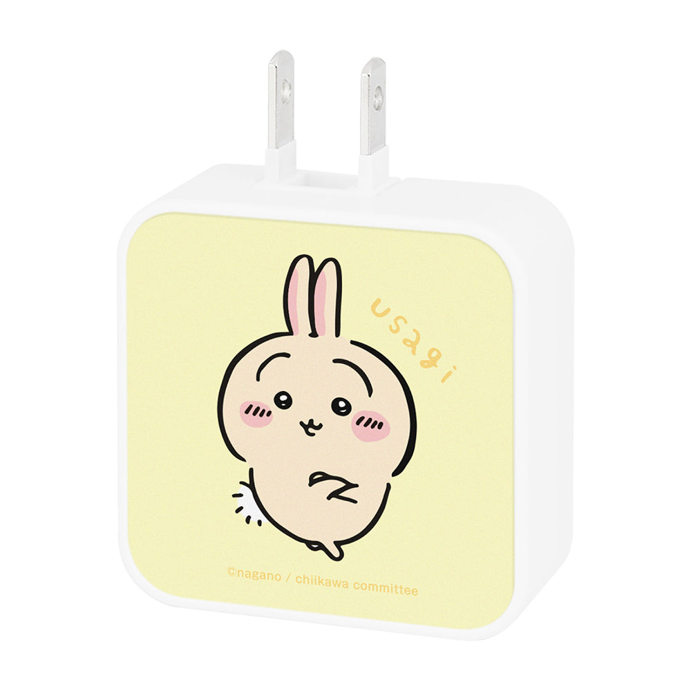 치이카와 USB/USB Type-C AC 어댑터 (우사기)