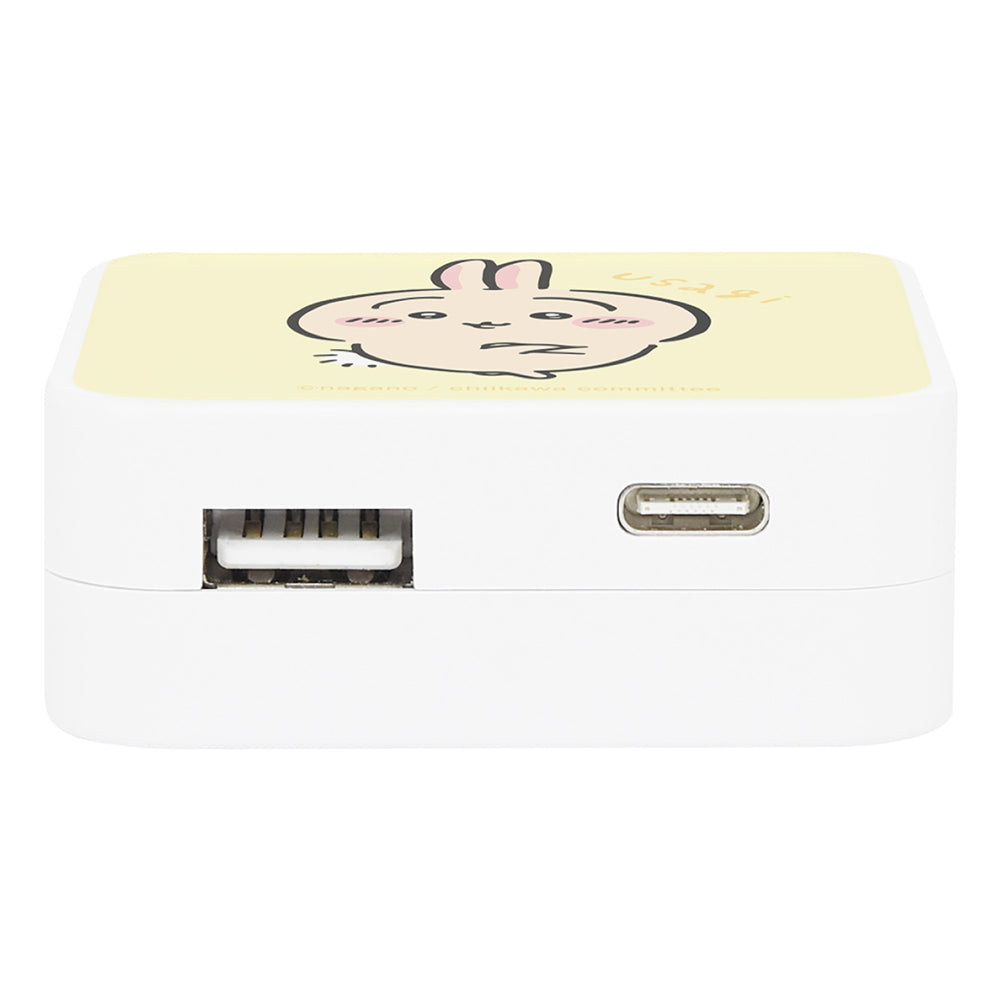 치이카와 USB/USB Type-C AC 어댑터 (우사기)