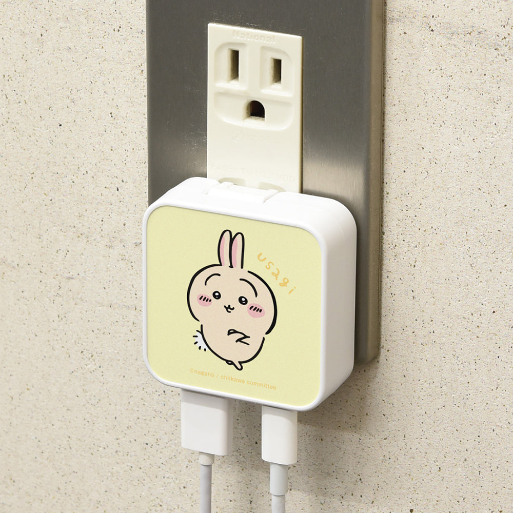 치이카와 USB/USB Type-C AC 어댑터 (우사기)