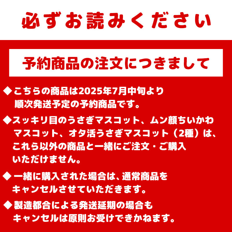 【予約】ちいかわ オタ活 うさぎマスコット（ペンライト）【2025年7月中旬より順次発送予定（発送延期の場合もキャンセル不可）】【通常商品と同時購入・配送希望日指定不可】【キャンペーン対象外】