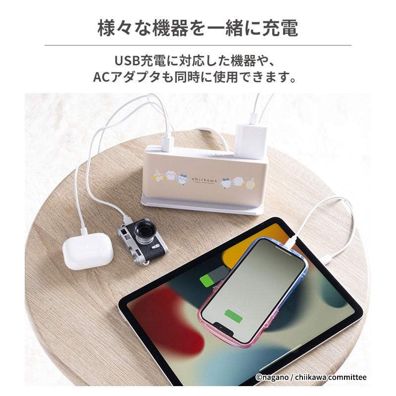 吉伊卡哇 humor AC＆USB TAP
