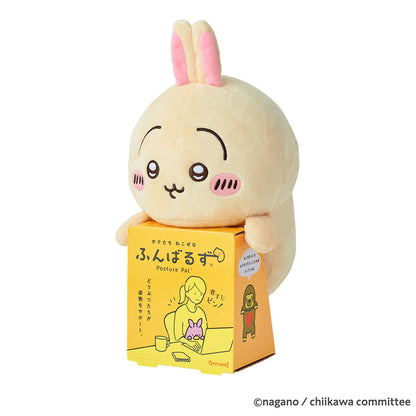 Chiikawa Funbaruzu (Usagi)