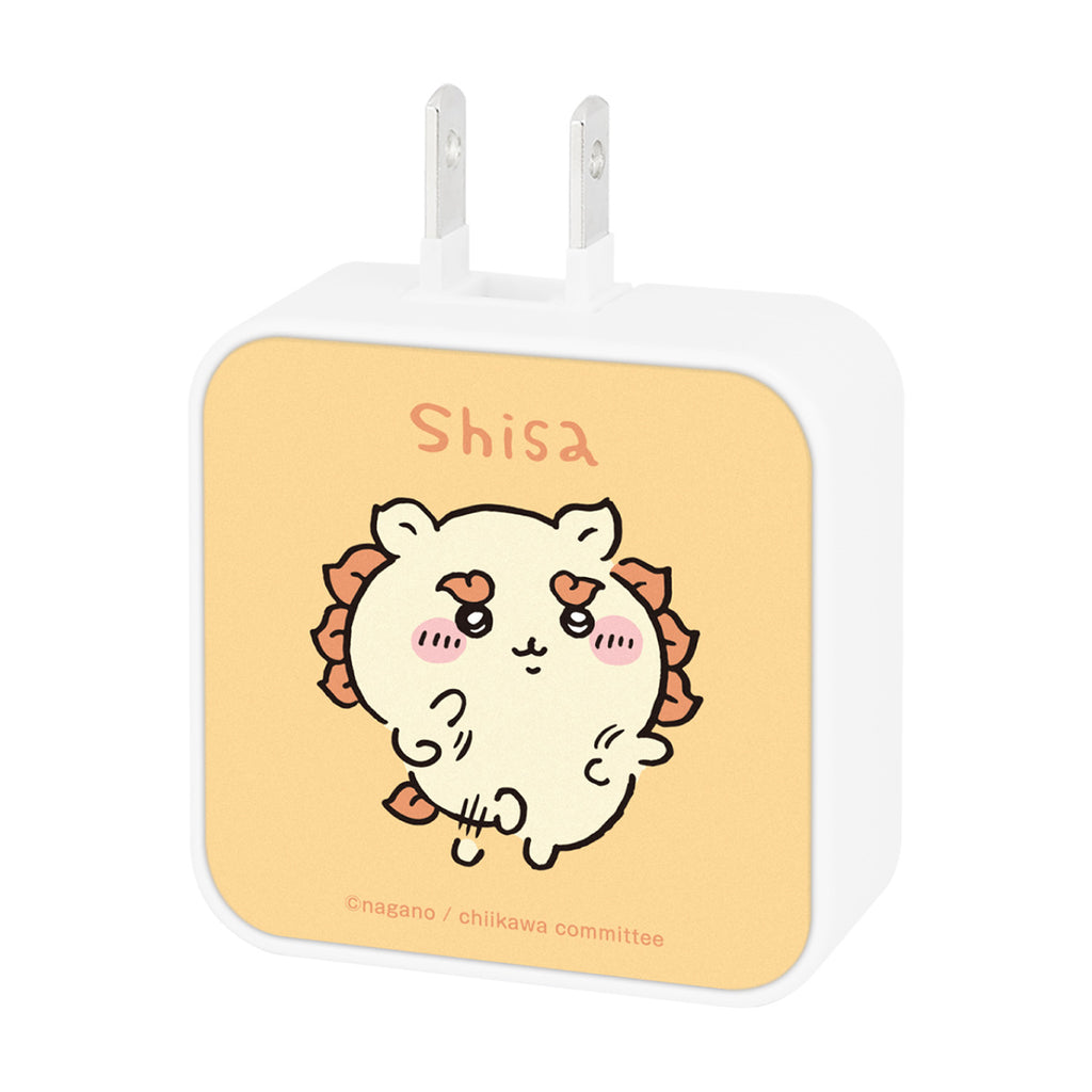 Chiikawa USB/USB Type-C AC 어댑터 (SHISA)