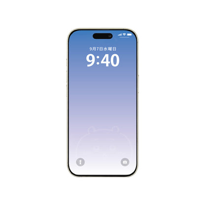 Chiikawa Glass Screen Protector for iPhone 16Pro (Chiikawa)