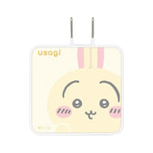 치이카와 USB Type-C AC 어댑터 (우사기)