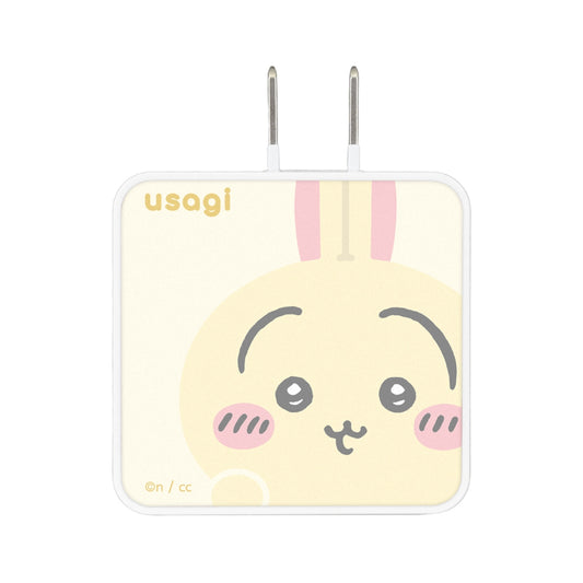 치이카와 USB Type-C AC 어댑터 (우사기)