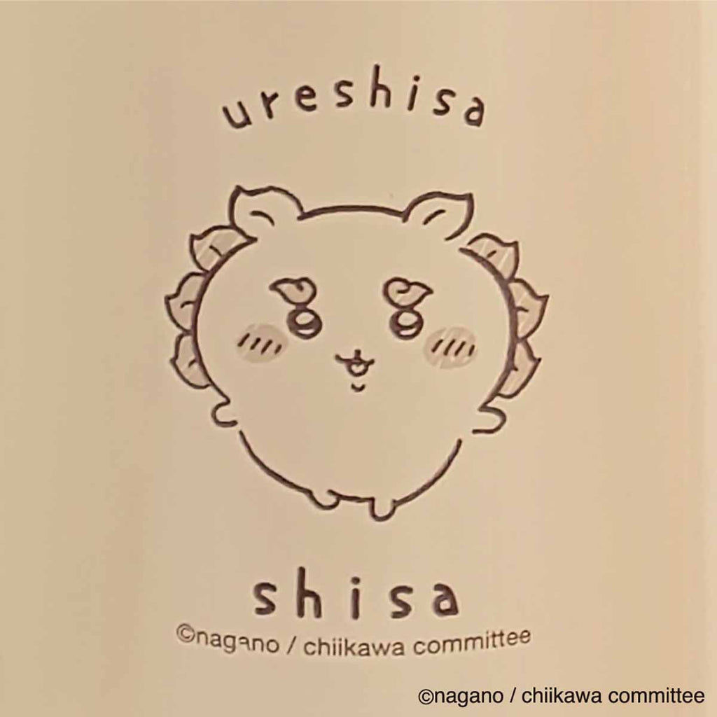 치카와 코 스테인레스 스틸 병 (Shisa)