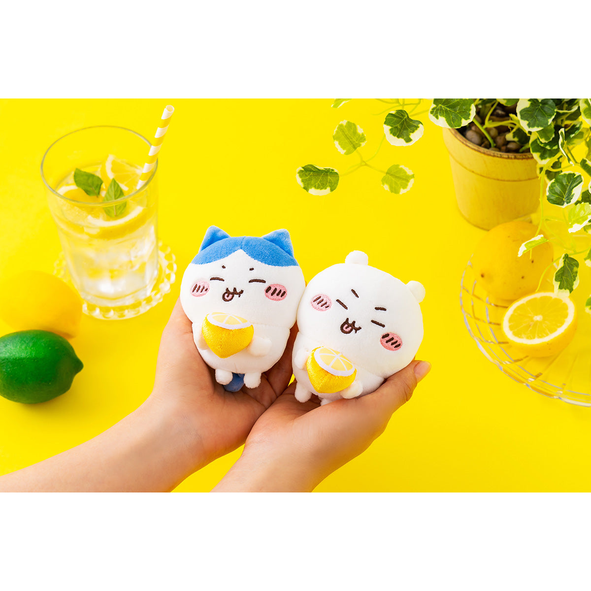 치이카와 SUPPA······!!!!!! 마스코트 (하치와레)
