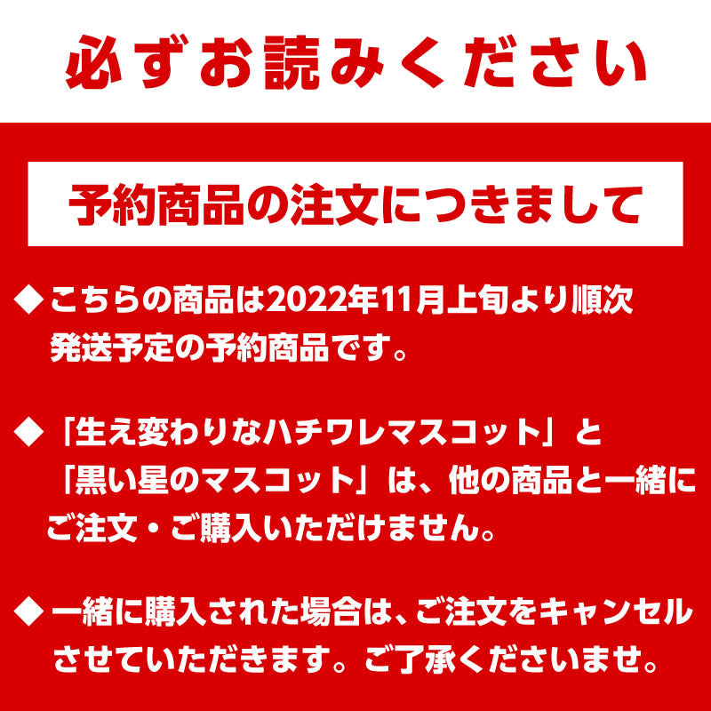 【予約】ちいかわ 黒い星のマスコット【2022年11月上旬より順次発送予定】【通常商品と同時購入・配送希望日指定不可】【キャンペーン対象外】