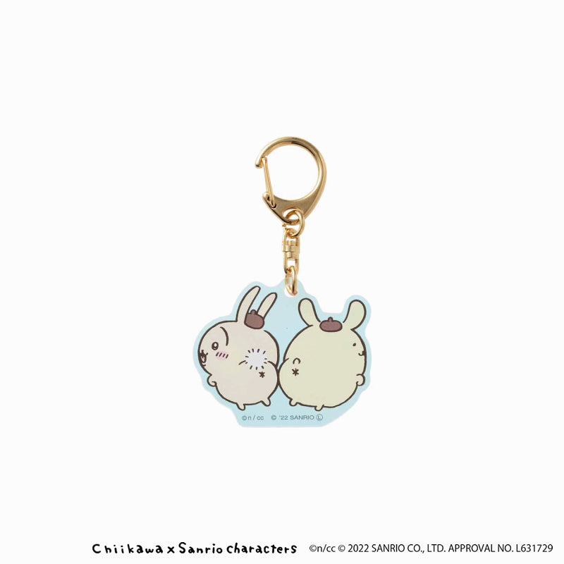 Chikawa x Sanrio Characters Aurora Aurora Keychain (Rabbit / Pompompurin)